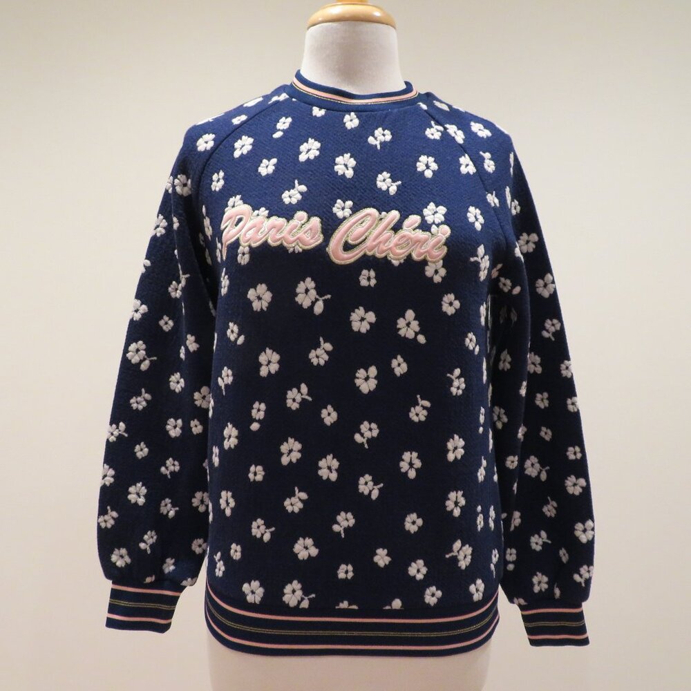 & Other Stories Paris Cheri Blue Floral Sweatshirt Size 6